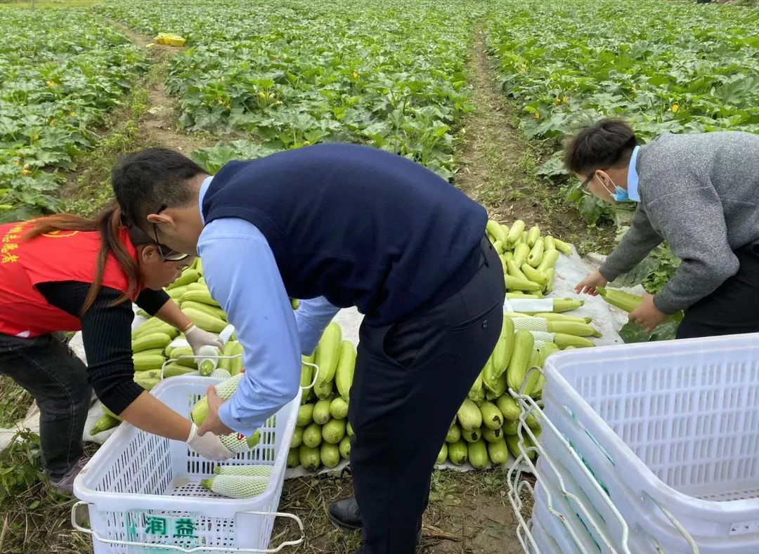 微信圖片_20220317112423 微信圖片_20220317112423