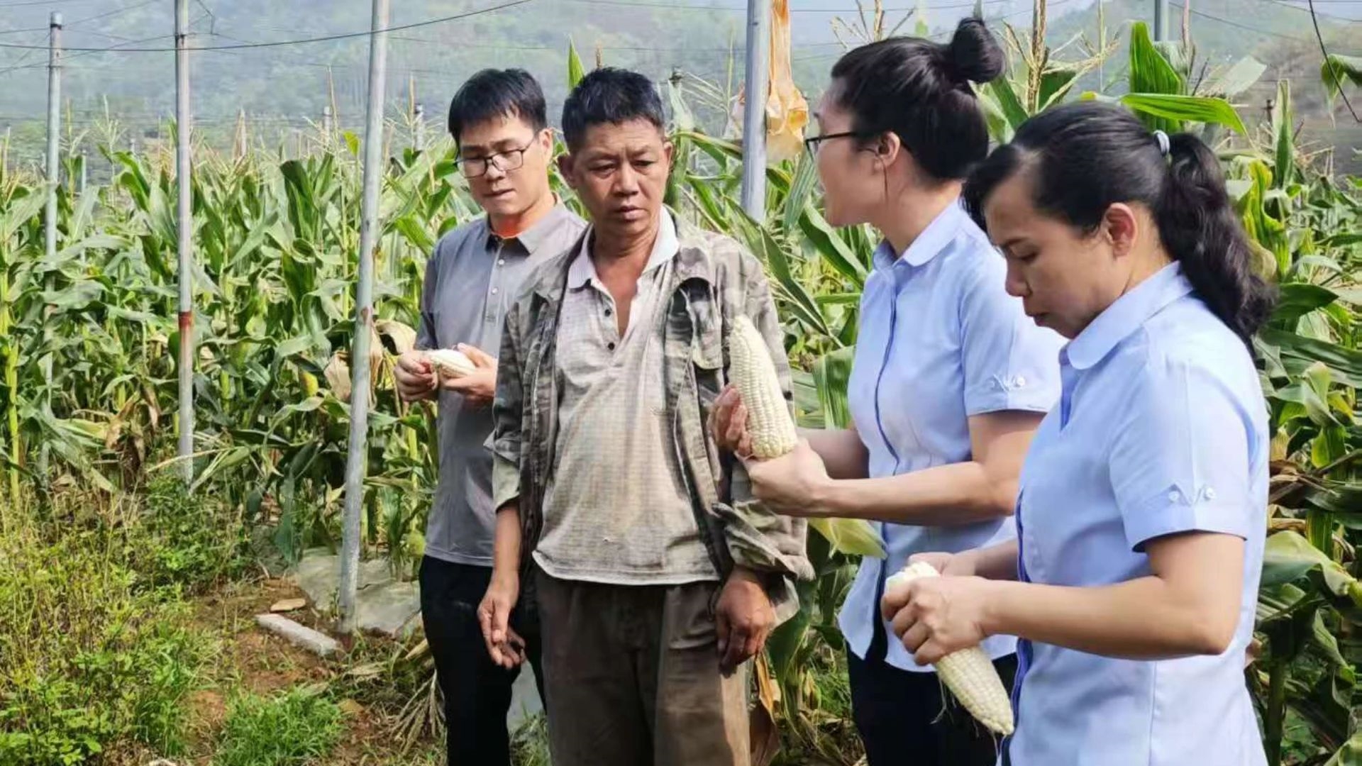 微信圖片_20250617174234 微信圖片_20250617174234